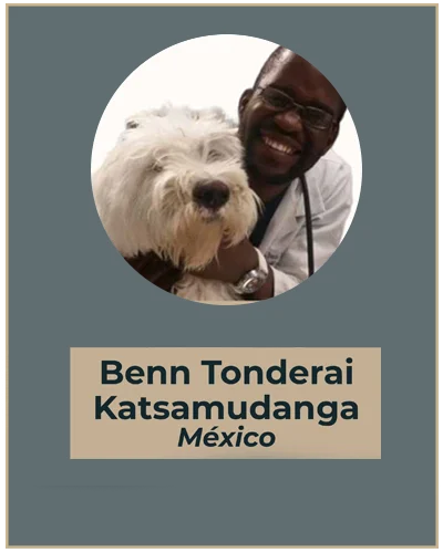 ben-todenari